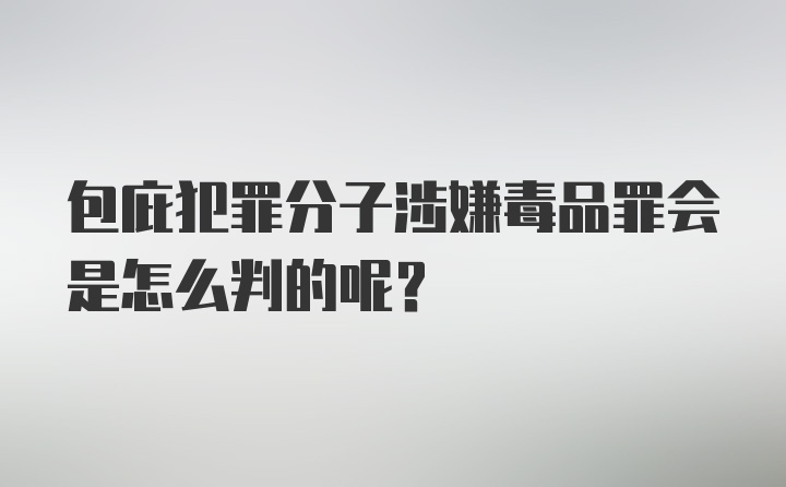 包庇犯罪分子涉嫌毒品罪会是怎么判的呢？