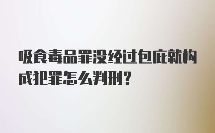 吸食毒品罪没经过包庇就构成犯罪怎么判刑？