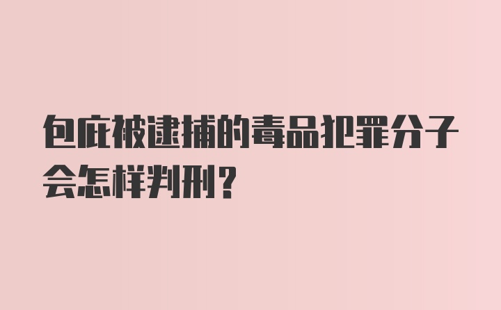 包庇被逮捕的毒品犯罪分子会怎样判刑?