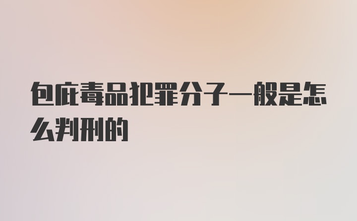 包庇毒品犯罪分子一般是怎么判刑的