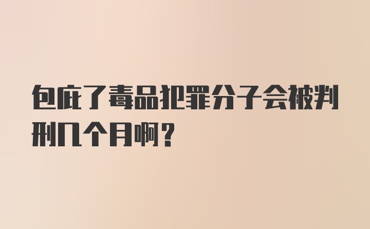 包庇了毒品犯罪分子会被判刑几个月啊？