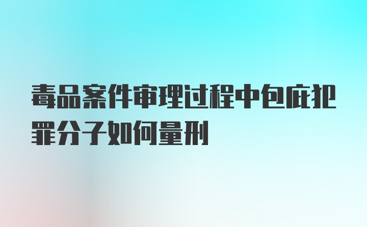 毒品案件审理过程中包庇犯罪分子如何量刑