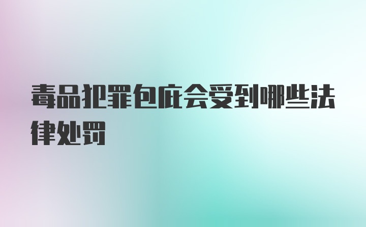 毒品犯罪包庇会受到哪些法律处罚