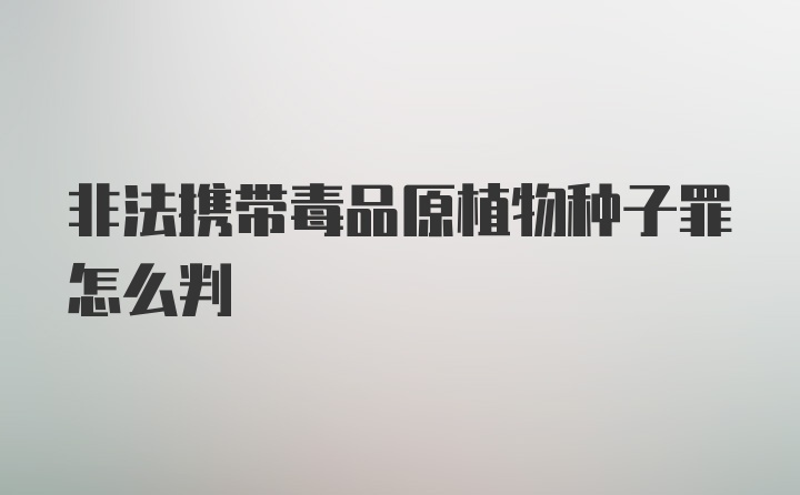 非法携带毒品原植物种子罪怎么判