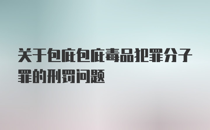 关于包庇包庇毒品犯罪分子罪的刑罚问题