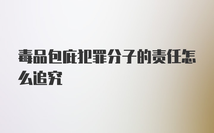 毒品包庇犯罪分子的责任怎么追究