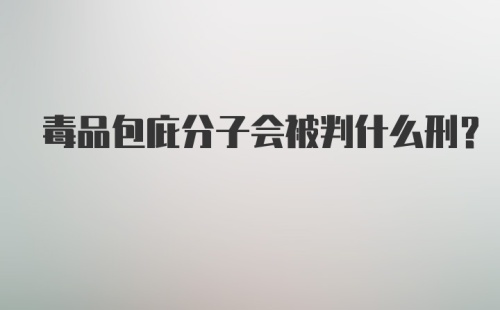 毒品包庇分子会被判什么刑？