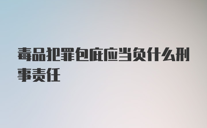 毒品犯罪包庇应当负什么刑事责任