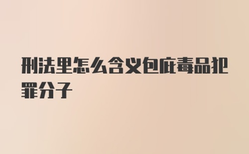 刑法里怎么含义包庇毒品犯罪分子