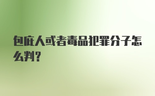 包庇人或者毒品犯罪分子怎么判？