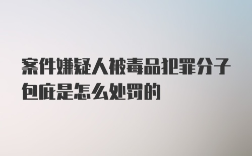 案件嫌疑人被毒品犯罪分子包庇是怎么处罚的