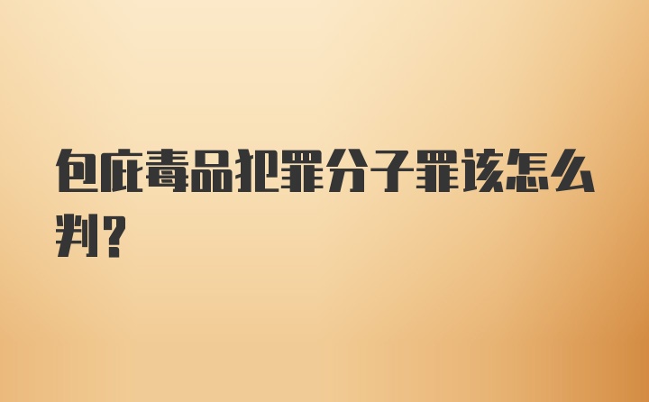 包庇毒品犯罪分子罪该怎么判？