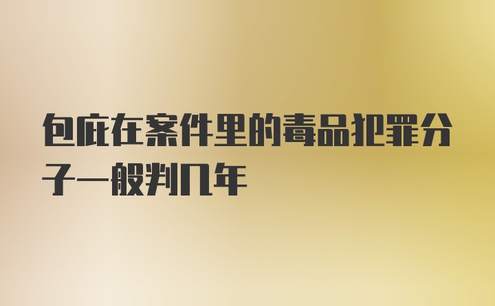 包庇在案件里的毒品犯罪分子一般判几年