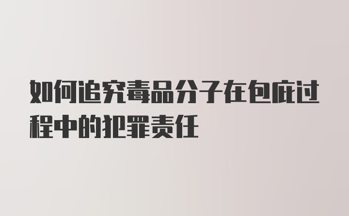 如何追究毒品分子在包庇过程中的犯罪责任