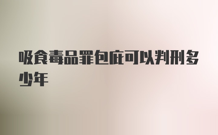 吸食毒品罪包庇可以判刑多少年