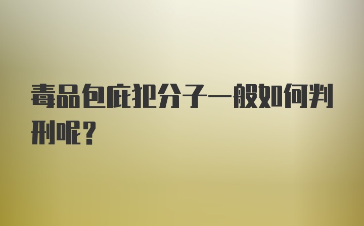 毒品包庇犯分子一般如何判刑呢？