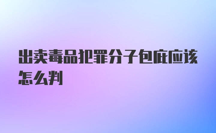 出卖毒品犯罪分子包庇应该怎么判