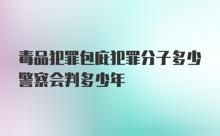 毒品犯罪包庇犯罪分子多少警察会判多少年