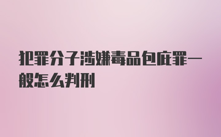 犯罪分子涉嫌毒品包庇罪一般怎么判刑