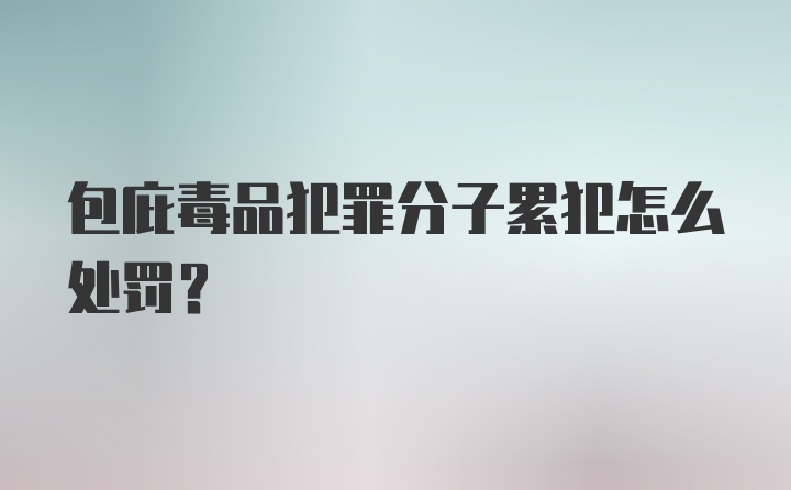 包庇毒品犯罪分子累犯怎么处罚？