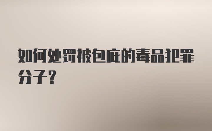 如何处罚被包庇的毒品犯罪分子？