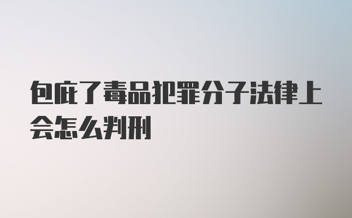 包庇了毒品犯罪分子法律上会怎么判刑