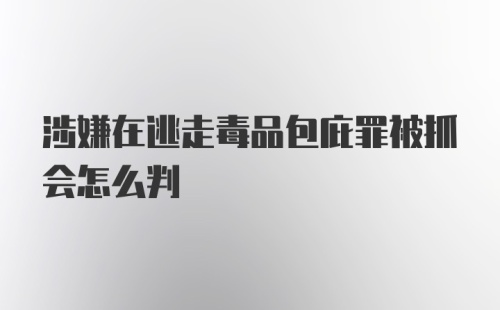 涉嫌在逃走毒品包庇罪被抓会怎么判