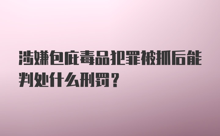 涉嫌包庇毒品犯罪被抓后能判处什么刑罚？