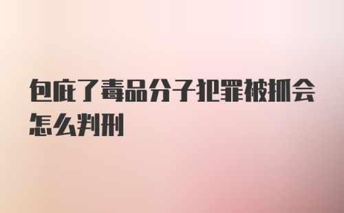 包庇了毒品分子犯罪被抓会怎么判刑