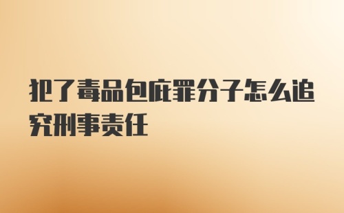 犯了毒品包庇罪分子怎么追究刑事责任