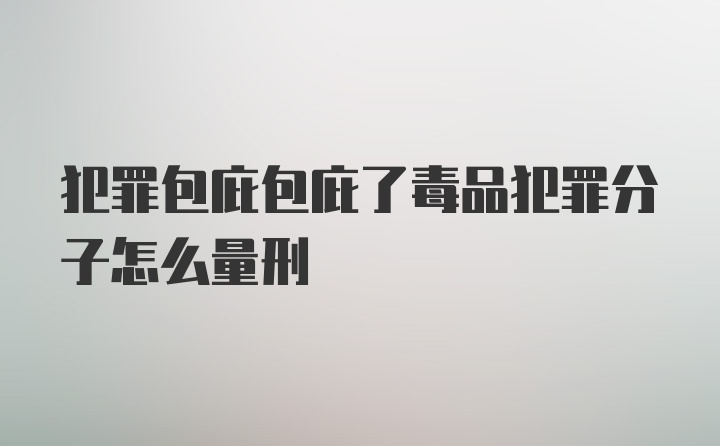 犯罪包庇包庇了毒品犯罪分子怎么量刑