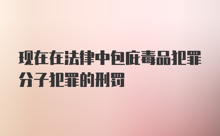 现在在法律中包庇毒品犯罪分子犯罪的刑罚