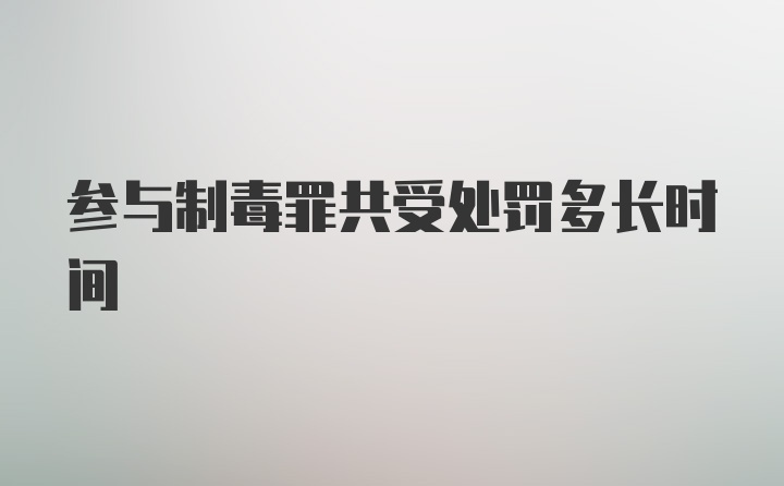 参与制毒罪共受处罚多长时间