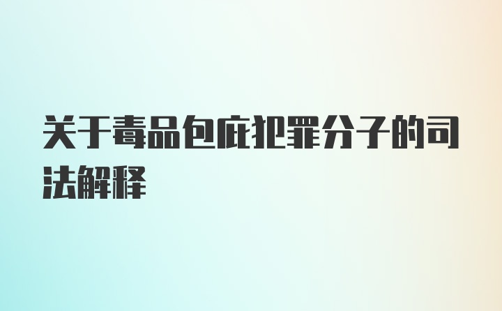 关于毒品包庇犯罪分子的司法解释