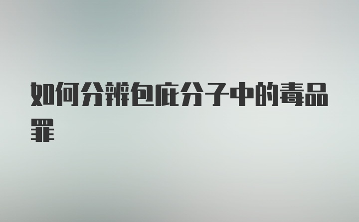 如何分辨包庇分子中的毒品罪