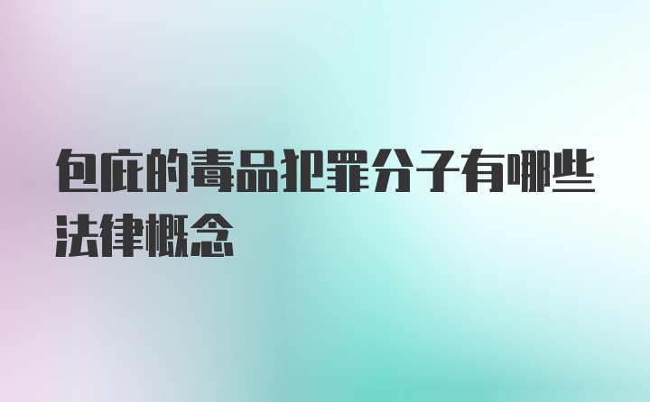 包庇的毒品犯罪分子有哪些法律概念