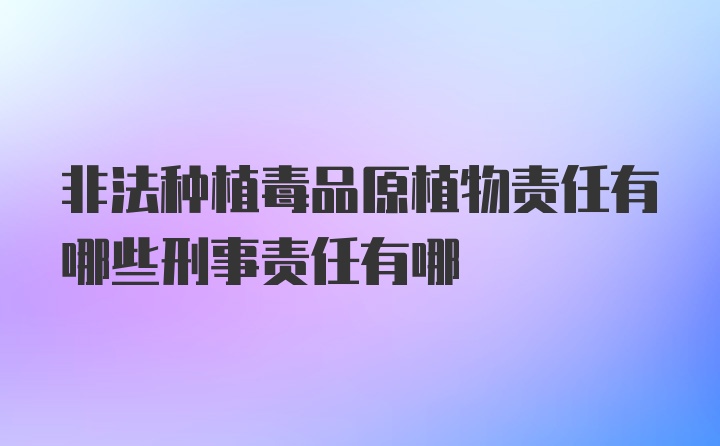 非法种植毒品原植物责任有哪些刑事责任有哪