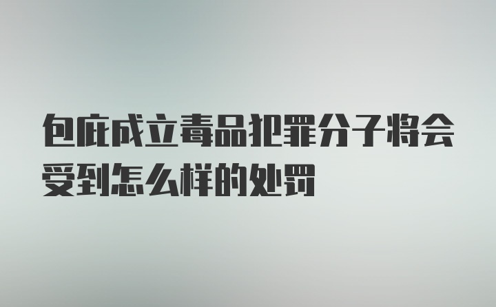 包庇成立毒品犯罪分子将会受到怎么样的处罚