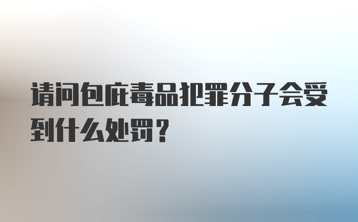 请问包庇毒品犯罪分子会受到什么处罚？