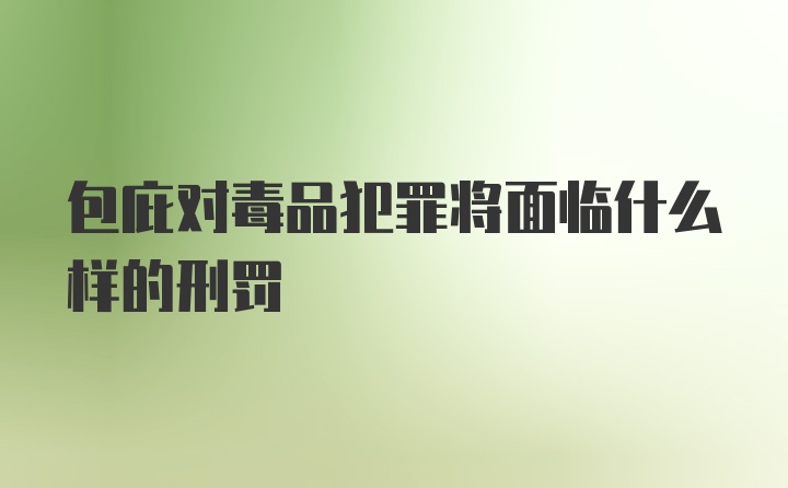 包庇对毒品犯罪将面临什么样的刑罚