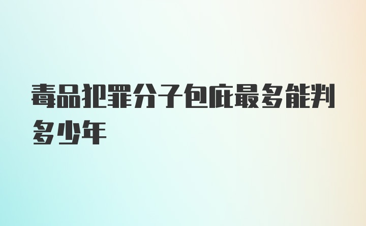 毒品犯罪分子包庇最多能判多少年