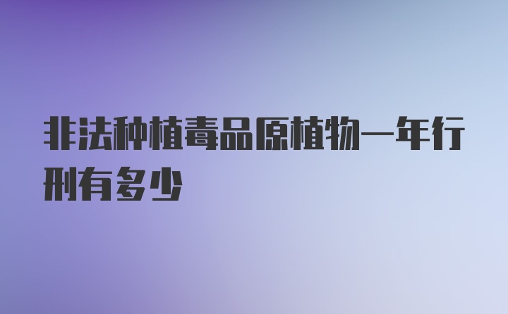 非法种植毒品原植物一年行刑有多少