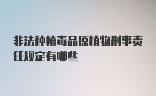 非法种植毒品原植物刑事责任规定有哪些