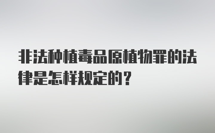 非法种植毒品原植物罪的法律是怎样规定的？