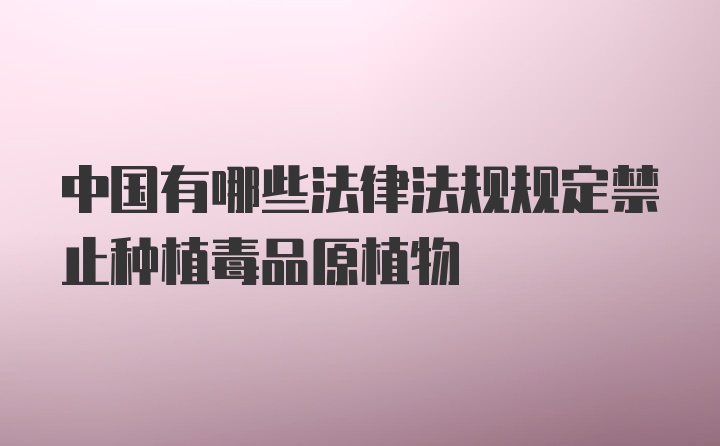 中国有哪些法律法规规定禁止种植毒品原植物