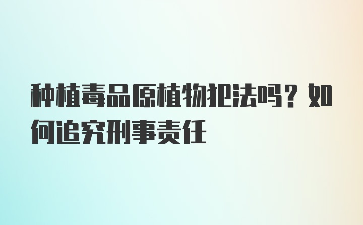 种植毒品原植物犯法吗？如何追究刑事责任