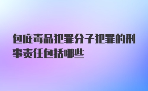 包庇毒品犯罪分子犯罪的刑事责任包括哪些