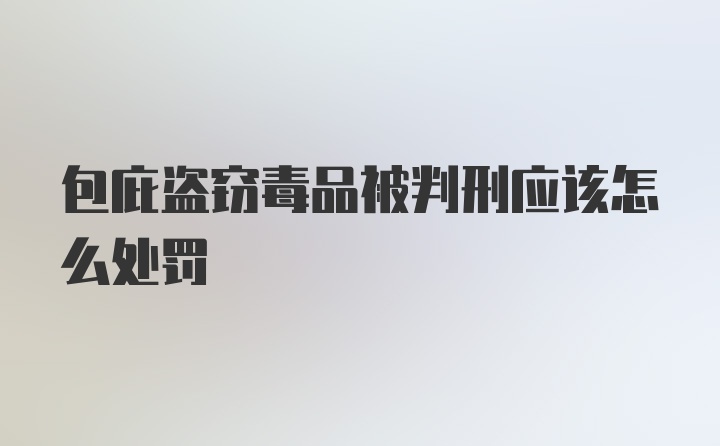 包庇盗窃毒品被判刑应该怎么处罚