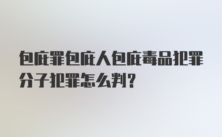 包庇罪包庇人包庇毒品犯罪分子犯罪怎么判？