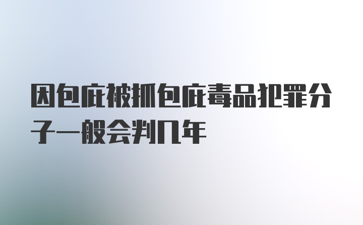 因包庇被抓包庇毒品犯罪分子一般会判几年